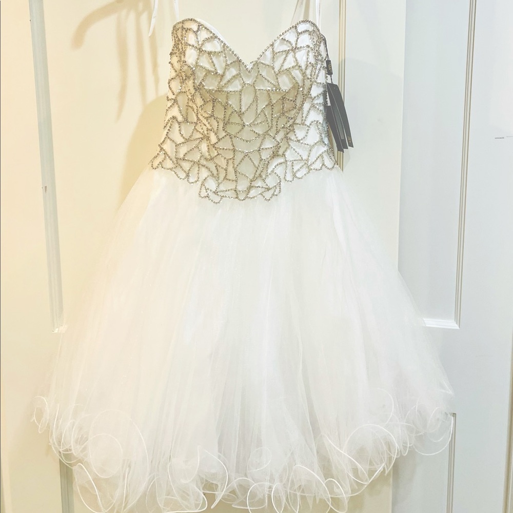 Terani Couture Dress